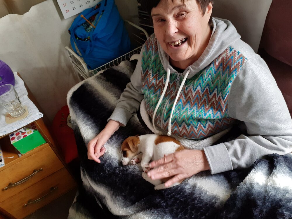 Denise loves dog 2019