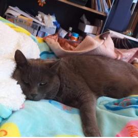 Charlie's life at hohepa 