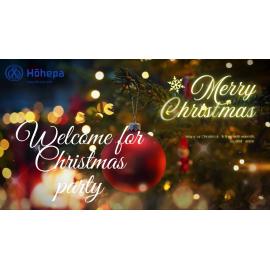 Christmas at Hōhepa 2024